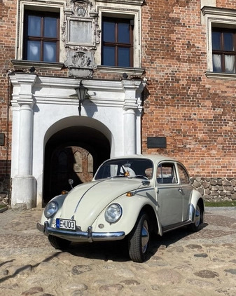 Volkswagen Garbus cena 42000 przebieg: 37500, rok produkcji 1964 z Uniejów małe 254